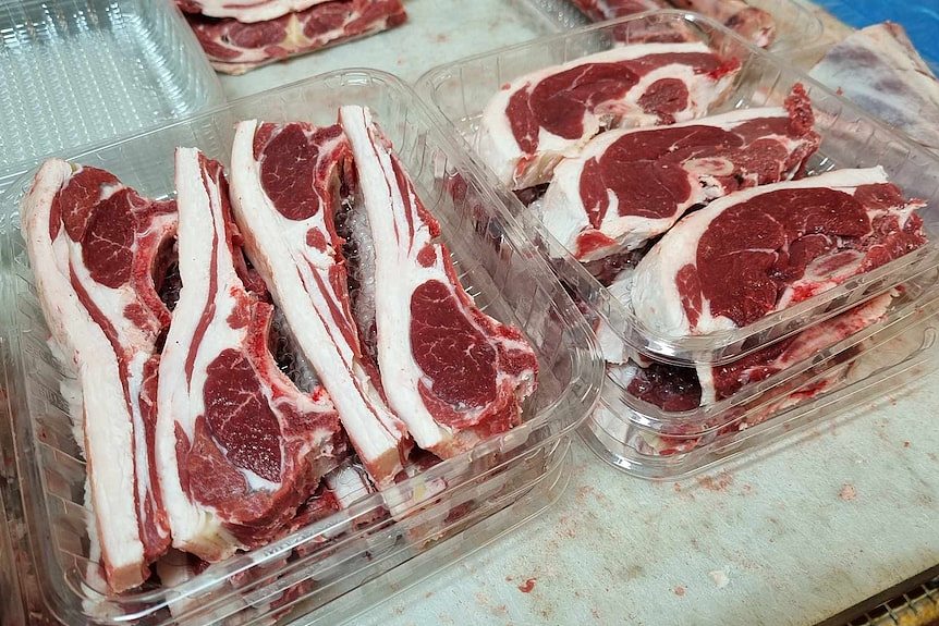 two trays of lamb chops sit on a bench