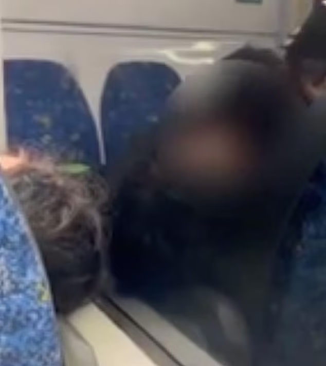 悉尼城铁上演“活春宫”，情侣不理旁人边吻边脱！乘客：听到吸吮声（视频/组图） - 3