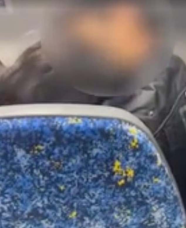 澳情侣在城铁上演“活春宫”，不理旁人边吻边脱！乘客：听到吸吮声（视频/组图） - 2