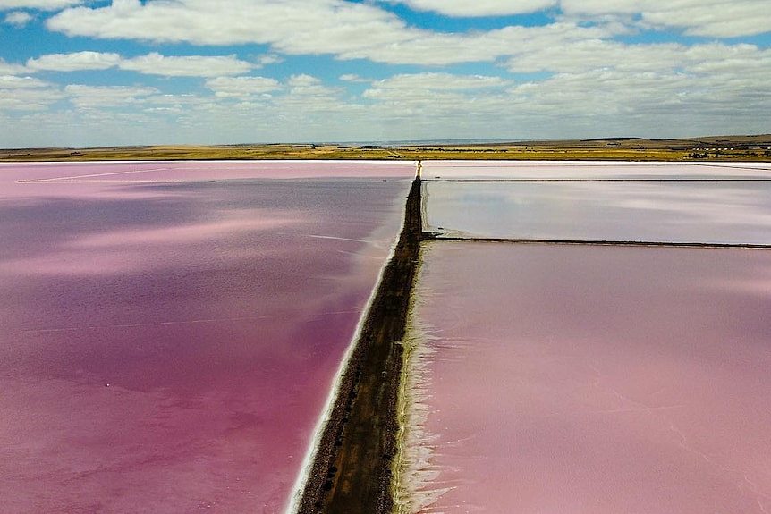 A drone image of a pink lake.