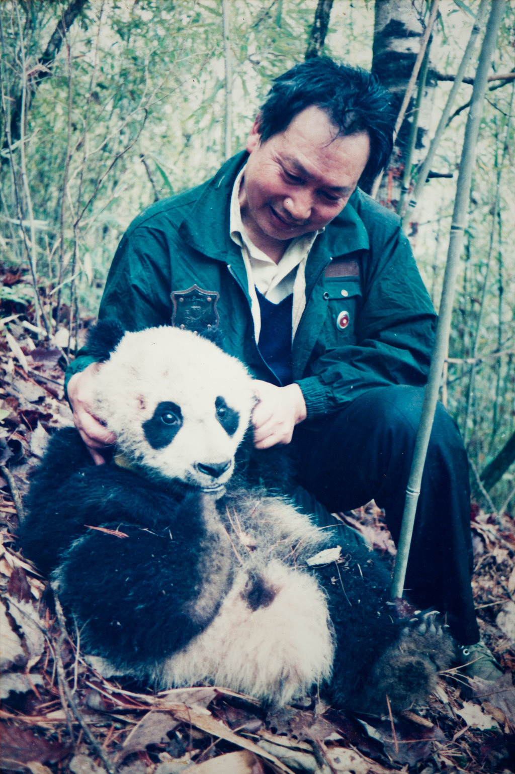 在野外调查期间，胡锦矗担任了中国保护大熊猫研究中心第一任主任，完成世界上第一部全面探索大熊猫生态环境和生活习性的著作——《卧龙的大熊猫》。 网图