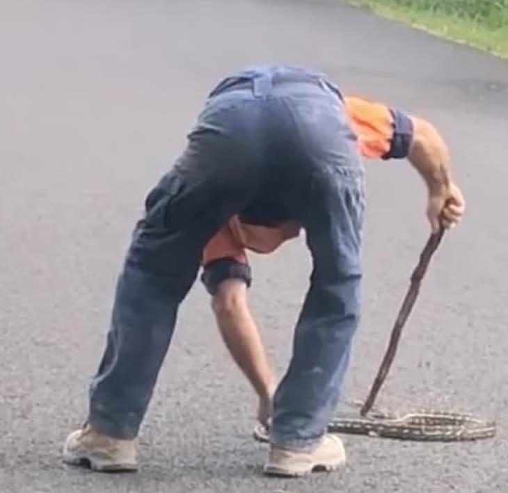 新州街头上演“人蛇大战”！冰棍男对战2米地毯蟒，路人都看呆了（视频/组图） - 3