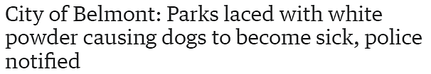 小心！珀斯Belmont市公园出现大量白色粉末，狗狗闻后身体不适（图片） - 1
