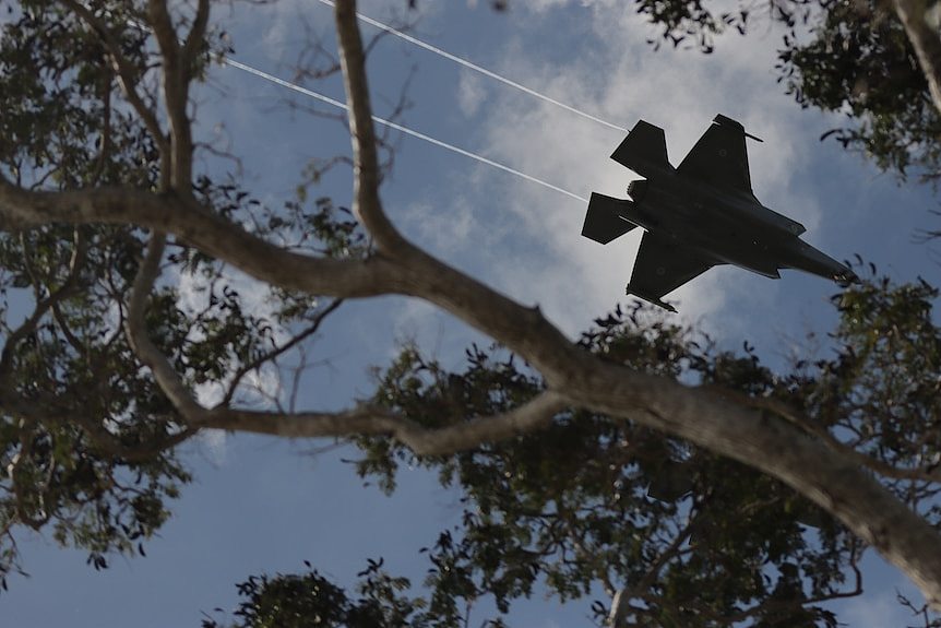 A fighter jet flying through the sky, seen throug the branches of a tree.