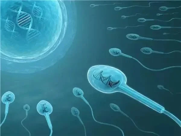 结婚生娃要趁早！研究：男性生育越晚，遗传给后代的基因突变就越多（组图） - 6