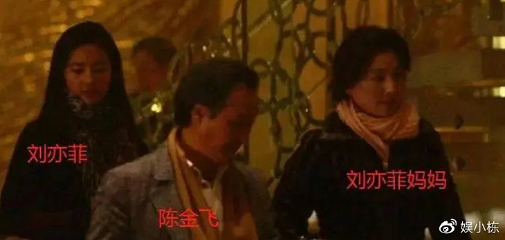 刘亦菲的妈妈刘晓莉：两婚两离，64岁依旧单身，长得比女儿还漂亮（组图） - 13