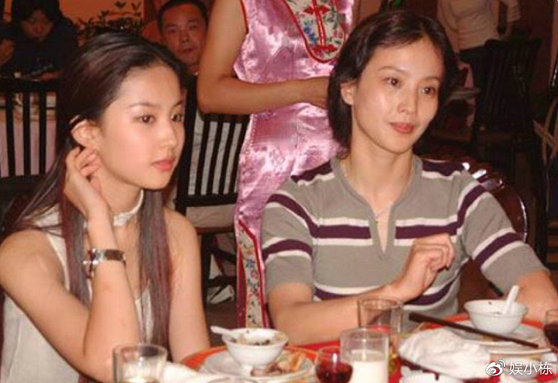 刘亦菲的妈妈刘晓莉：两婚两离，64岁依旧单身，长得比女儿还漂亮（组图） - 15