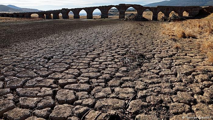 欧洲的夏季经历了极端高温和 500 年来最严重的干旱。西班牙创纪录的热浪导致 500 多人死亡，气温升至 45 摄氏度（113 华氏度）。 在英国，最高气温飙升至40多摄氏度。 非洲大陆的部分地区经历了一千年来最干旱的时期，许多地区被迫定量供水。
