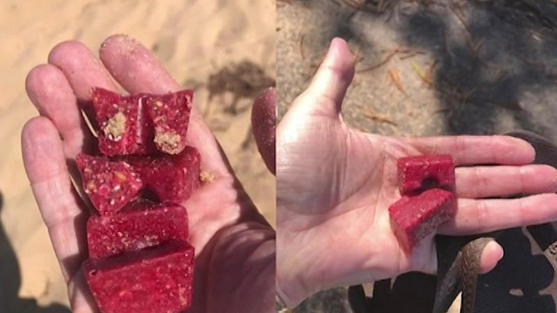 新州海滩发现大量毒饵，有狗狗吃下后险丧命！居民不敢遛狗（组图） - 3