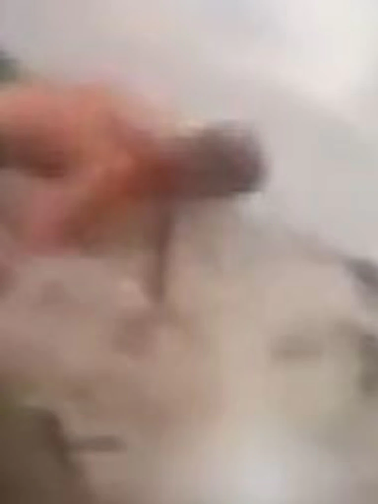 视频曝光！澳男游泳遭鳄鱼袭击，腿受伤流血，爱犬被咬后不知所踪（视频/组图） - 3