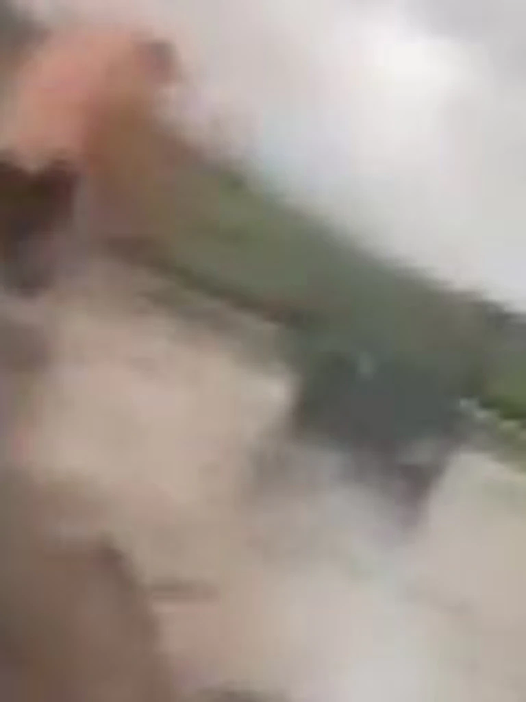 视频曝光！澳男游泳遭鳄鱼袭击，腿受伤流血，爱犬被咬后不知所踪（视频/组图） - 2