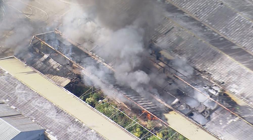 悉尼仓库发生火灾！现场浓烟滚滚，价值数十万的藏车被烧毁（视频/组图） - 5