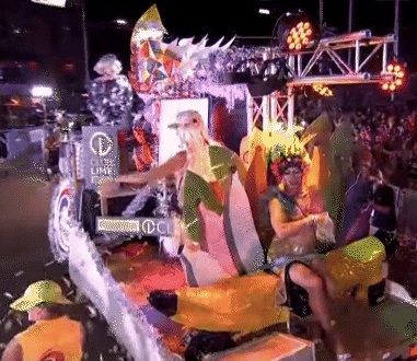 悉尼同性恋狂欢节游行盛大回归！艾博年亮相创造历史，华人方阵引爆全场（视频/组图） - 26