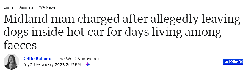 太不负责！西澳男子将狗锁在车内，时间长达数天，被控虐待动物（组图） - 1