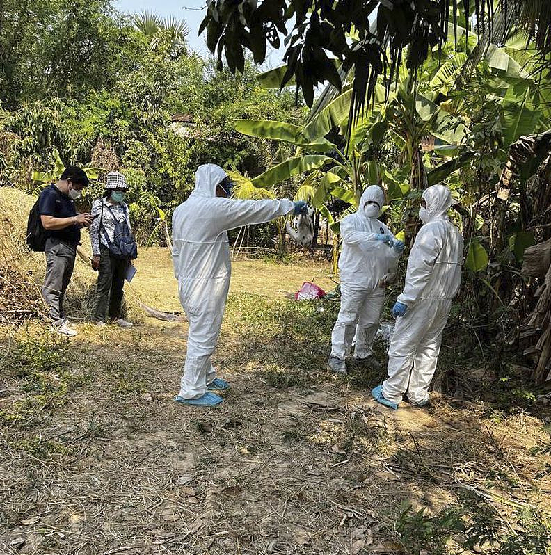 柬埔寨女童感染H5N1禽流感死亡！医生敦促澳人警惕，“碰到死鸟请远离”（组图） - 4