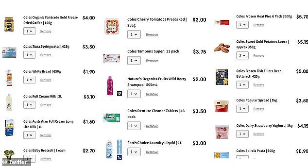 The woman, who relies on fortnightly Centrelink payments, took to Twitter to share the 39 items she bought at chain supermarket Coles for $100 (pictured are some of the items)