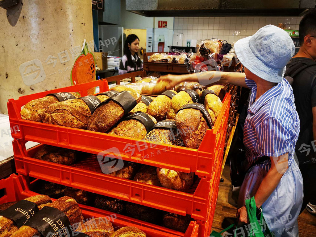 “只求饱腹！”澳洲高校派发免费食物，数百人大排长龙！中国留学生感慨：“生活太贵”（视频/组图） - 2