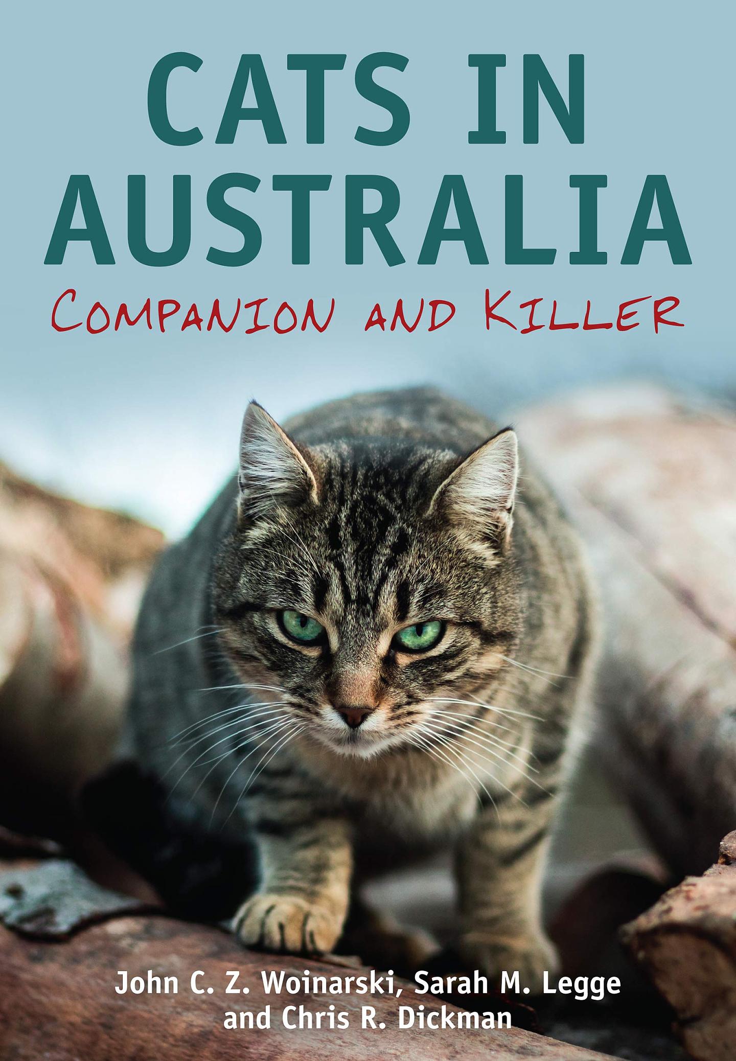 澳洲猫令人发指！因大量猎杀本地动物被“宵禁”，逃跑出门或被处决（组图） - 10