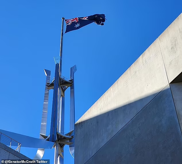 天气恶劣长期未换，澳国会大厦国旗破烂不堪！议员哀声抱怨（组图） - 3