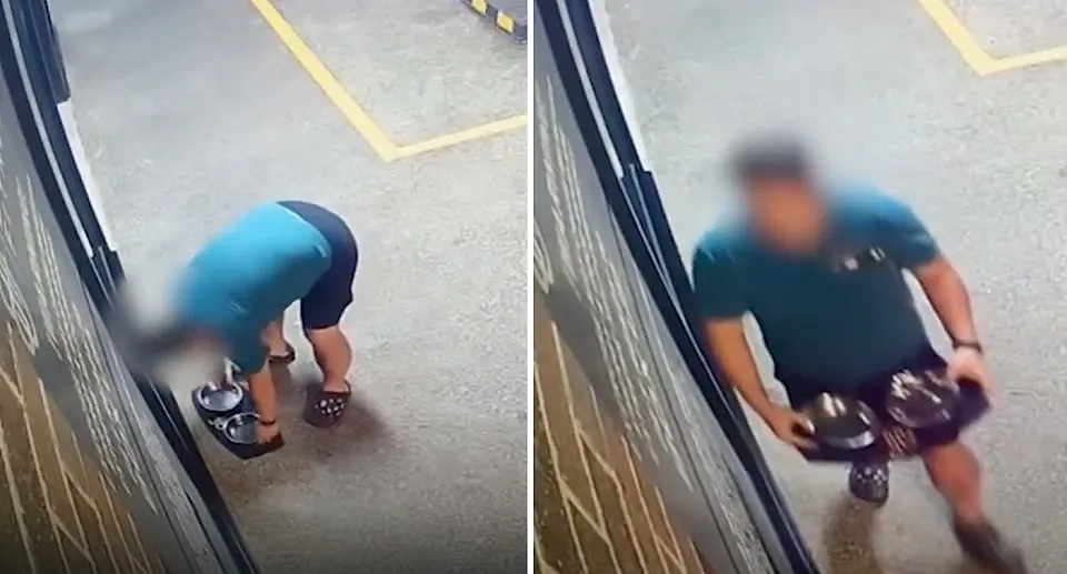视频曝光！悉尼男子偷走健身房外狗盆，网友怒批“真丢人”（视频/图） - 2