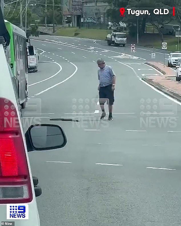 A bus driver has been captured stopping his vehicle so he could remove a large snake from a busy road at Tugun on the Gold Coast