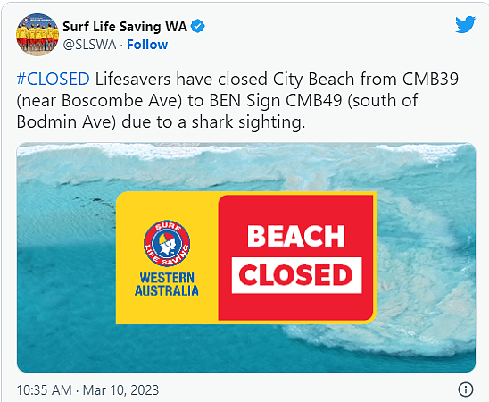 鲨鱼警报再度来袭！珀斯著名海滩现5米长巨鲨（图片） - 3