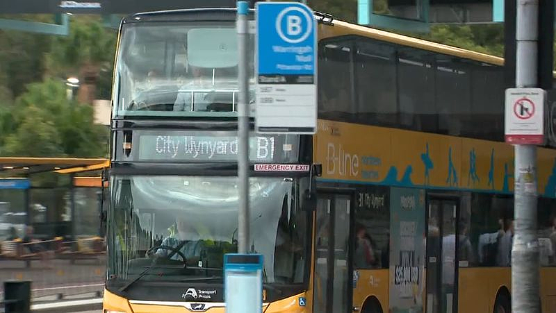 过去半年，悉尼一地大量巴士服务被取消！通勤者每天排长队等车（组图） - 3