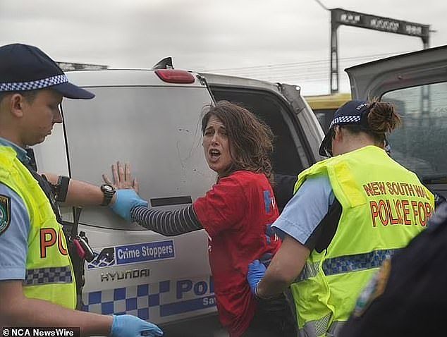 Ms Coco (pictured centre) was part of a two-car convoy that obstructed traffic on the bridge to raise awareness for climate change