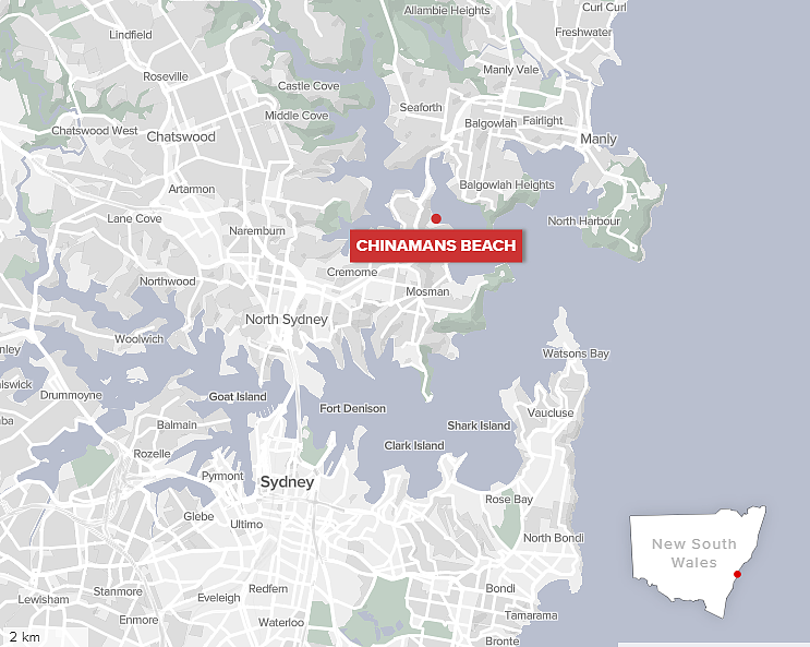 可怕！悉尼女子海滩遇险，遭致命生物咬伤（组图） - 3