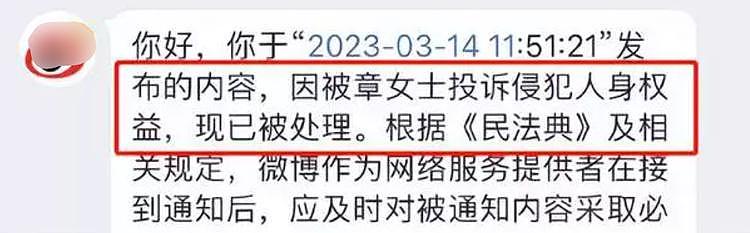 章子怡未祝福杨紫琼还投诉网友，只因当年“诈捐门”后者落井下石（组图） - 6