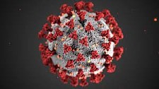 外媒：世卫组织仍力促中国提供所有新冠病毒数据（图）