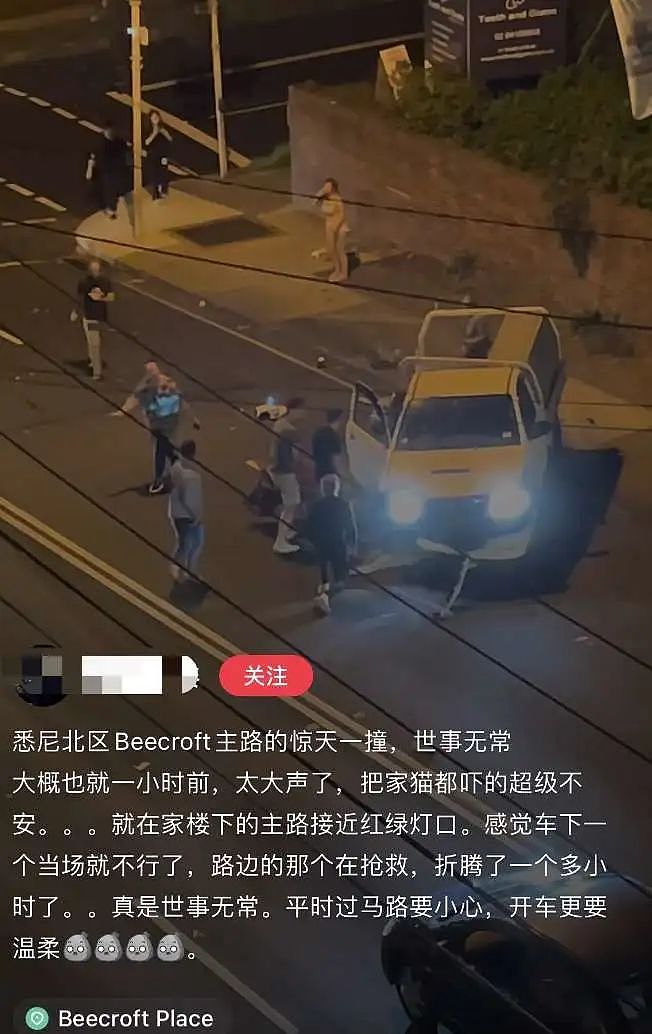 悲剧！悉尼突发严重车祸，一名华人妈妈遇难，她刚来澳洲；另一位妈妈生命垂危，目击者爆料：司机闯红灯...（组图） - 3