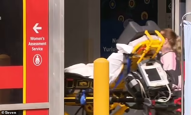 可怕！澳2岁女童遭恶犬袭击，脸部受重伤紧急送医（视频/组图） - 3