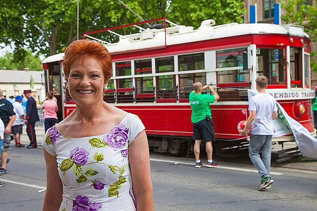 One Nation leader Pauline Hanson has slammed the Albanese government's high intake of migrants