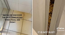 澳民宅浴室不断渗出污水，发出臭味！扒开淋浴间框架后，住户惊呆了（视频/组图）