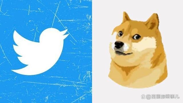 马斯克把推特logo从蓝鸟改成了狗头？狗狗币一夜猛涨，网友疯狂吐槽（组图） - 3