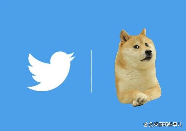马斯克把推特logo从蓝鸟改成了狗头？狗狗币一夜猛涨，网友疯狂吐槽（组图） - 14