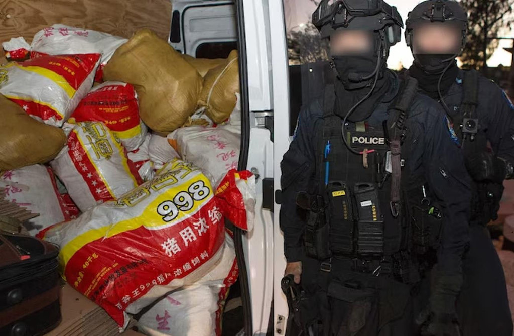 半张港币成关键证据！澳警方破获史上最大毒品案，缴获1.2吨冰毒，黑市价达$11亿（组图） - 2