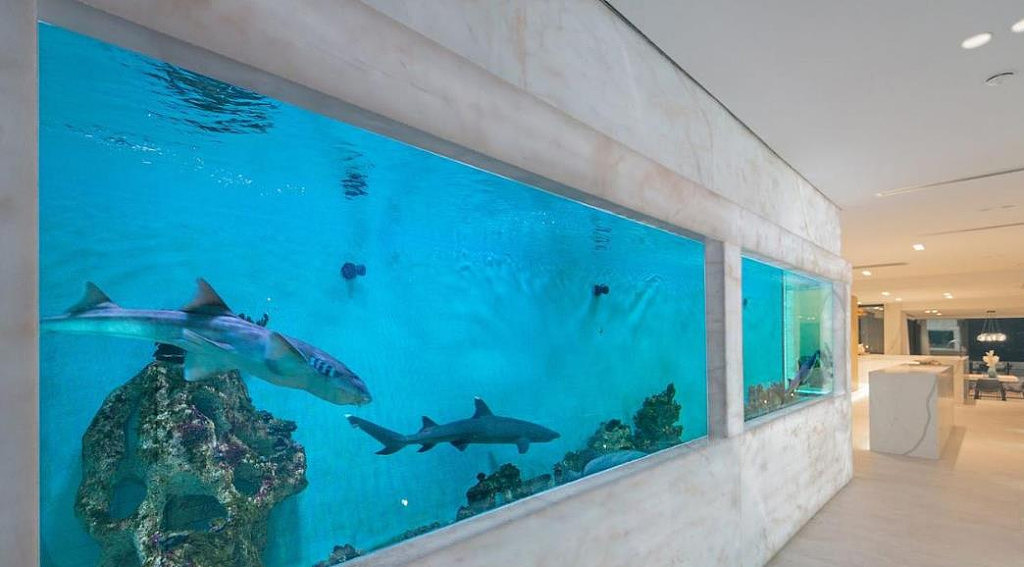悉尼滨海房产$590万挂牌上市！内含6米长“鲨鱼缸”，中介：机会难得别错过（组图） - 3