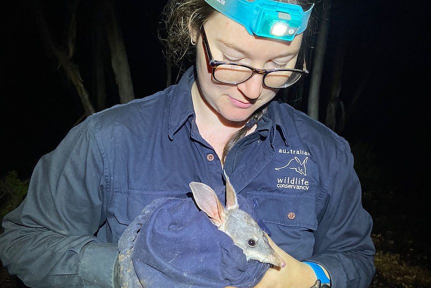 A woman holding a bilby.