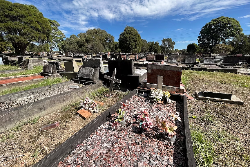 报告：若政府无法解决公墓管理问题，悉尼墓地将用尽（组图） - 3