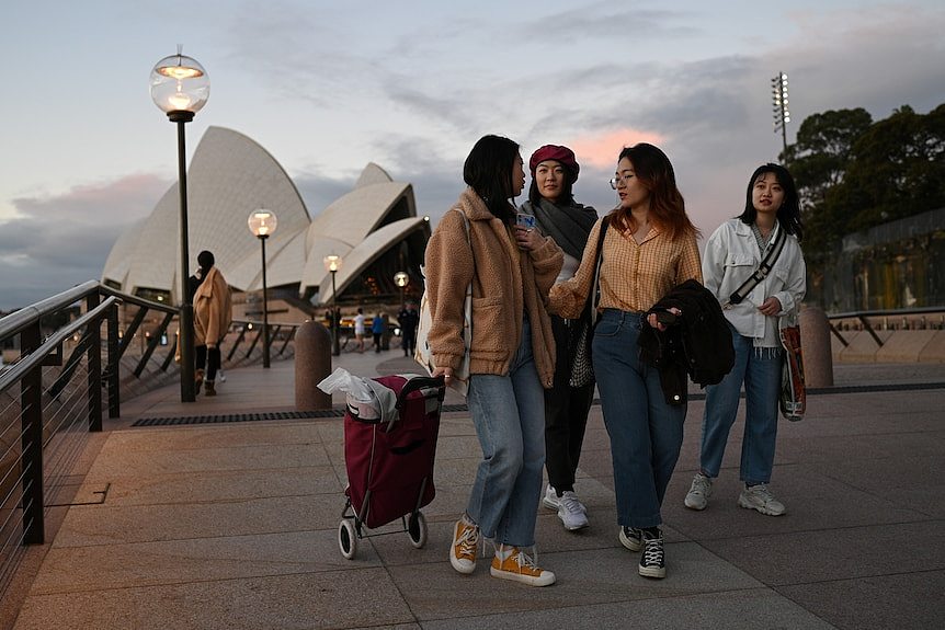 澳洲移民改革进行时：收紧留学生签证？（视频/图） - 2