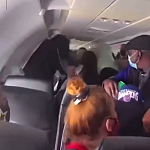 乘客“空中MMA”！澳洲航班离谱大乱斗，机舱窗打破＋两度折返迫降 （视频/图）
