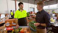 专卖“不完美”果蔬，价格比超市便宜40%！澳洲小伙的这门生意火了（组图）