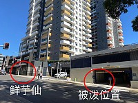 悉尼华人区西男频频飞车袭击，华人疑成目标！多人午夜当街被泼水，“还好不是硫酸”（组图）
