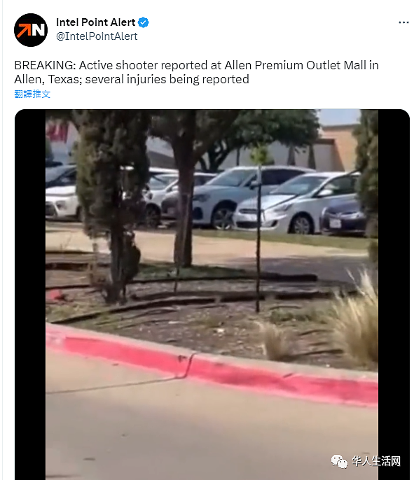 至少9死7伤！美德州商场爆枪击案，枪手对行人乱枪扫射，现场视频曝光（视频/图） - 11
