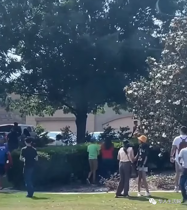 至少9死7伤！美德州商场爆枪击案，枪手对行人乱枪扫射，现场视频曝光（视频/图） - 13