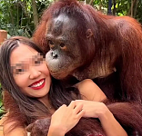 泰国动物园一猩猩合影时对女游客袭胸，还不断亲吻其脸部，女游客：“猩猩很友好”（组图）