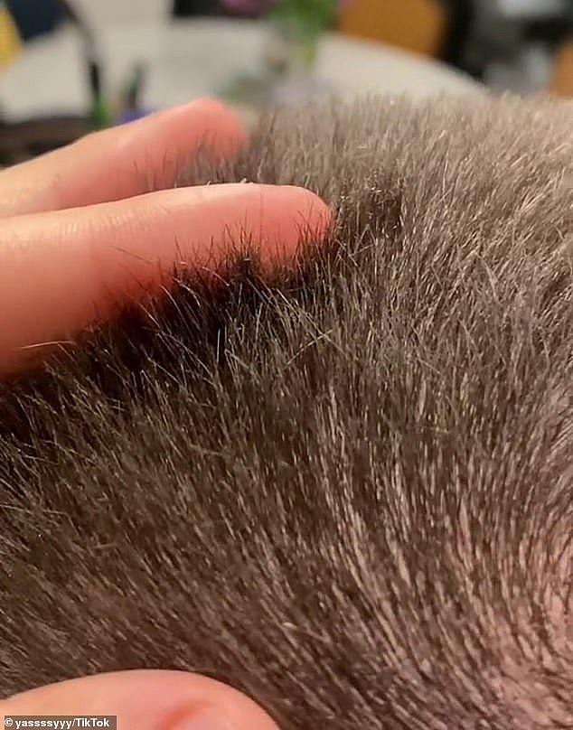 Kmart has come under fire after their hair clippers 'burned' and 'split' the hair of a man who wanted to shave his head
