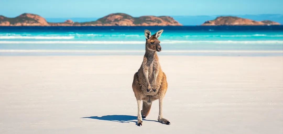 全球最佳的50个海滩！西澳这地排第一！你打卡了吗？（组图） - 7